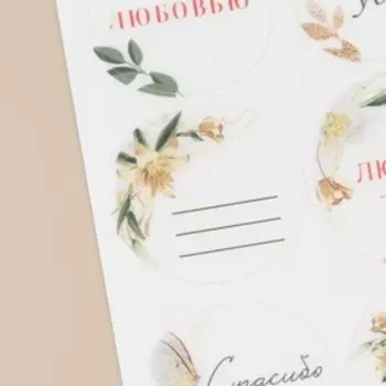 Наклейки на подарки «Ты совершенна», матовая пленка, 9 × 16 см