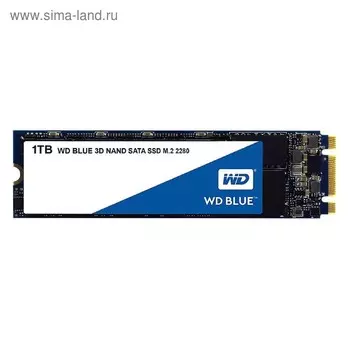 Накопитель SSD WD Original M.2 2280 WDS100T2B0B, 1Тб, SATA III, синий