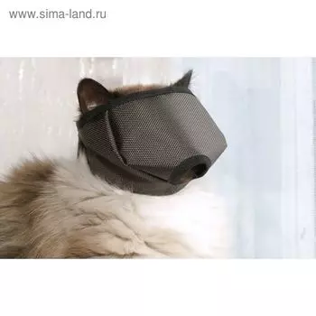 Намордник для кошек OSSO, M (животное 4-6 кг), микс цветов