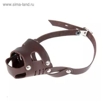 Намордник кожаный «Зооник» №00, (длина по носу 5,5 см, обхват морды 14 см), микс цветов