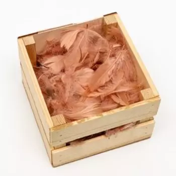 Наполнитель из перьев для шаров и подарков, абрикосовый, 6гр.