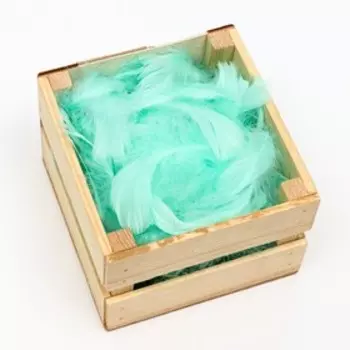 Наполнитель из перьев для шаров и подарков, мятный, 6гр.