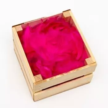 Наполнитель из перьев для шаров и подарков, ярко розовый, 6гр.