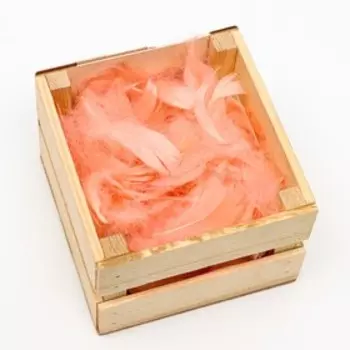 Наполнитель из перьев для шаров и подарков, розовый, 6гр.