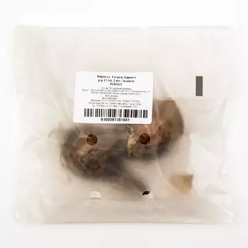 Нарцисс Голден Харвест, р-р 12/14, 2 шт, Эконом