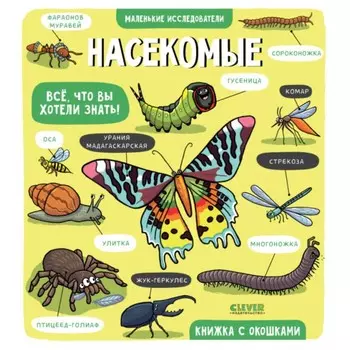 Насекомые