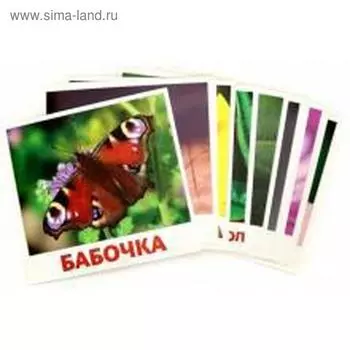 Насекомые. Доман Г.