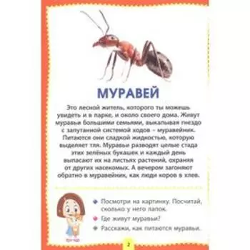 Насекомые. Фотокнига для самых маленьких