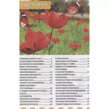 Насекомые. Первая энциклопедия для детей