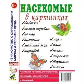 Насекомые в картинках