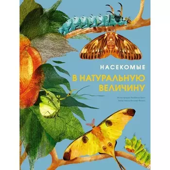 Насекомые в натуральную величину. Фогато В.