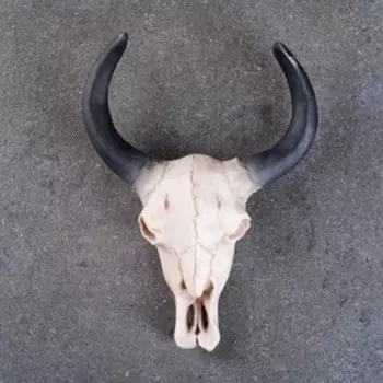 Настенный декор TAKE IT EASY «Череп», панно декоративное, 261020 см