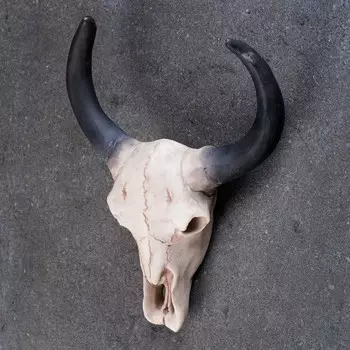 Настенный декор TAKE IT EASY «Череп», панно декоративное, 261020 см