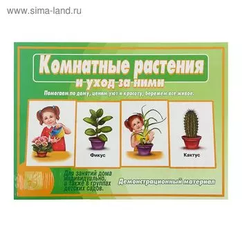 Настольная игра «Комнатные растения и уход за ними»