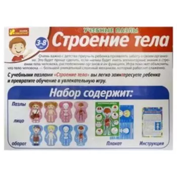 Настольная игра «Строение тела», пазлы 58 элементов + плакат