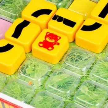 Настольная игра «Сыроешки»