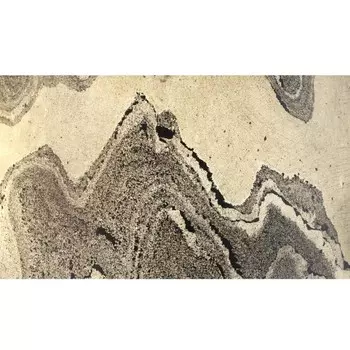 Настольная лампа BERGI E27 LED 2x10W