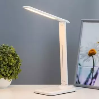 Настольная лампа «Лайт» LED 6 Вт 3000-6000К USB АКБ белый 121733 см RISALUX
