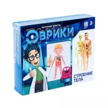 Научный опыт «Строение тела», уценка