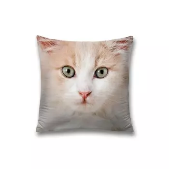 Наволочка декоративная «Внимание кота», на молнии, размер 45х45 см