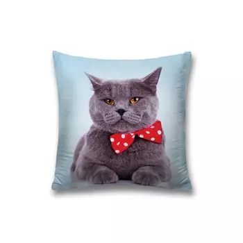 Наволочка декоративная «Серый Тема Шотландская Вислоухая», на молнии, размер 45х45 см