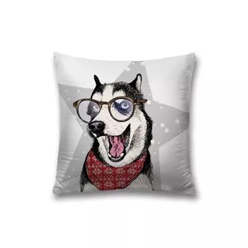 Наволочка декоративная «Кто тут звезда?», на молнии, размер 45х45 см