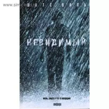 Невидимый. Валь М.