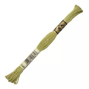 Нитки мулине DMC 117 (3348), 12 шт. в упаковке