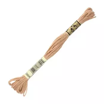 Нитки мулине DMC 117 (3864), 12 шт. в упаковке