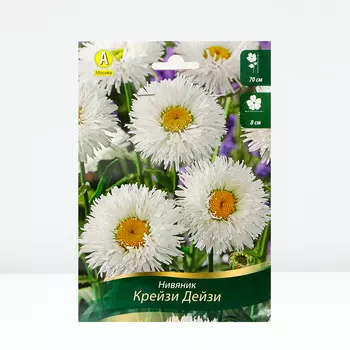 Нивяник Крейзи Дейзи, 1 шт, Весна 2024