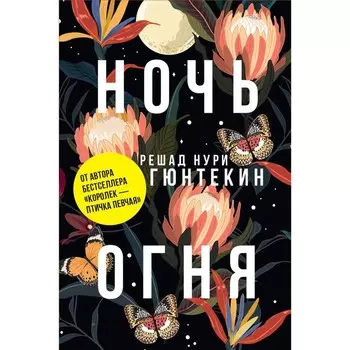 Ночь огня. Гюнтекин Р.Н.