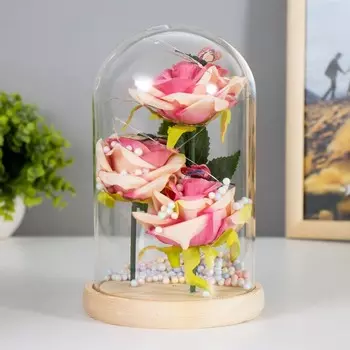 Фигурка световая в колбе RISALUX «Цветы и бабочки», LED-ночник, от батареек 3ААА, 13.513.520.5 см