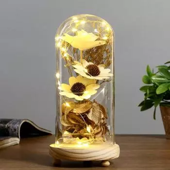 Ночник "Колба с букетом" LED 3ААА 22,5х9,5х11 см RISALUX