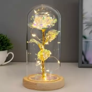 Фигурка светящаяся колба RISALUX «Яркий цветок», LED-ночник, от батареек 3ААА, 111121.5 см