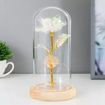 Фигурка светящаяся колба RISALUX «Яркий цветок», LED-ночник, от батареек 3ААА, 111121.5 см