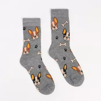 Носки «Бульдог с костью», цвет светло-серый, размер 38-41