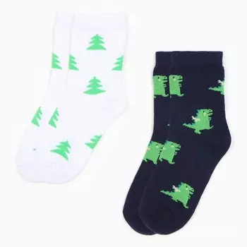 Носки детские KAFTAN «Дракоши», набор 2 пары, размер 14-16