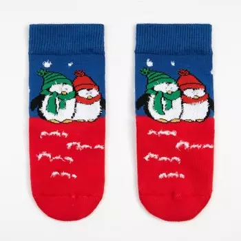 Носки детские с махровым следом, размер 14-16