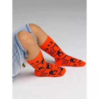 Носки для мальчика, размер 20 - 2 пары