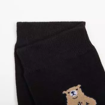 Носки мужские А.С1115, цвет черный, р.25-29 (40-44)