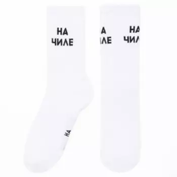 Носки мужские KAFTAN "На чиле" размер 41-44 (27-29 см)