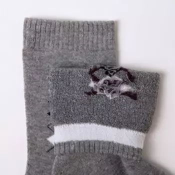 Носки мужские махровые, цвет серый, размер 25-27