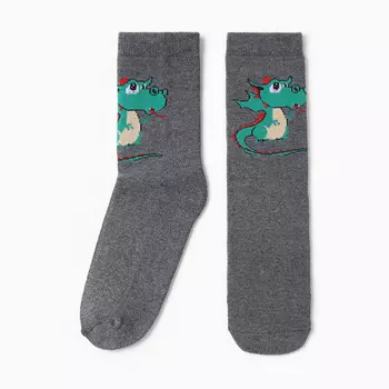 Носки женские «Дракончик» с махрой внутри, серые, размер 36-40