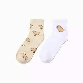 Носки женские KAFTAN «Капибара» р. 36-40 (23-25 см), набор 2 пары