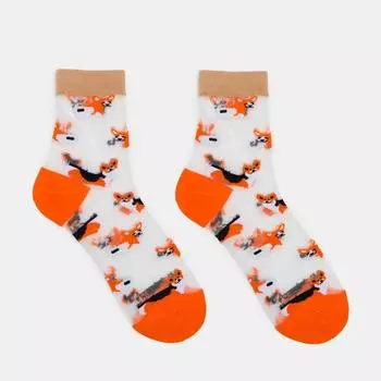 Носки женские "Корги", цвет коричневый, размер 36-40