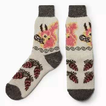 Носки женские шерстяные «Белка с шишками», размер 25