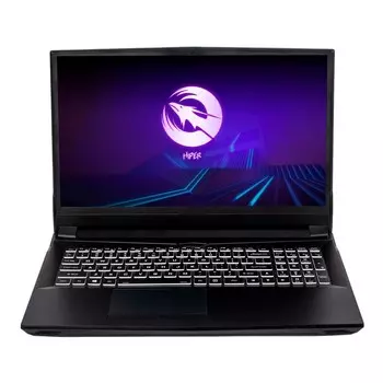 Ноутбук Hiper G16 Core i7 11700 16Gb SSD1Tb NVIDIA GeForce RTX 3070 8Gb 16.1" IPS FHD (1920x 10045