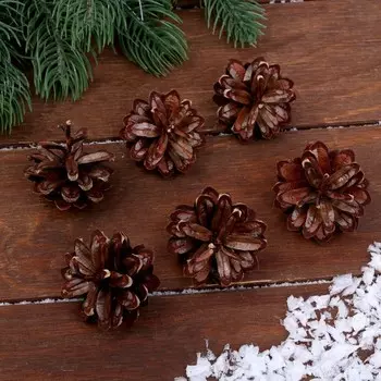 Новогодний декор «Набор натуральных шишек» 6 шт.