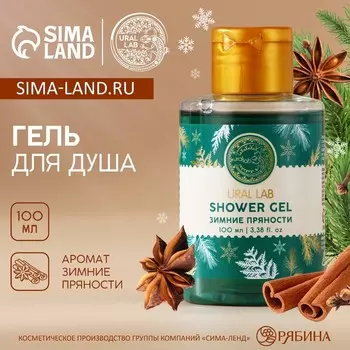 Гель для душа URAL LAB, 100 мл, аромат зимних пряностей, Новый Год