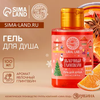 Гель для душа, аромат яблочного глинтвейна, 100 мл, URAL LAB